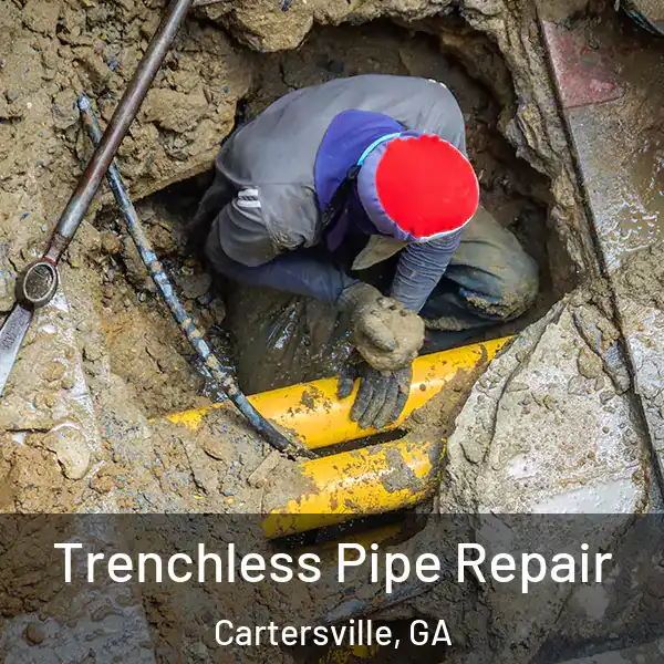  Trenchless Pipe Repair Cartersville, GA